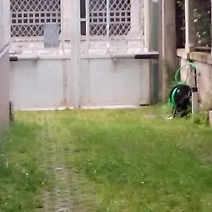 Mavipagi Verona